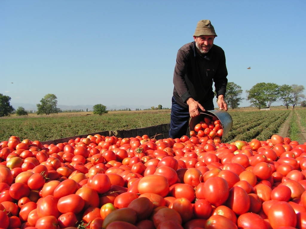 Climate Resilient Agriculture – PRAISE Marneuli