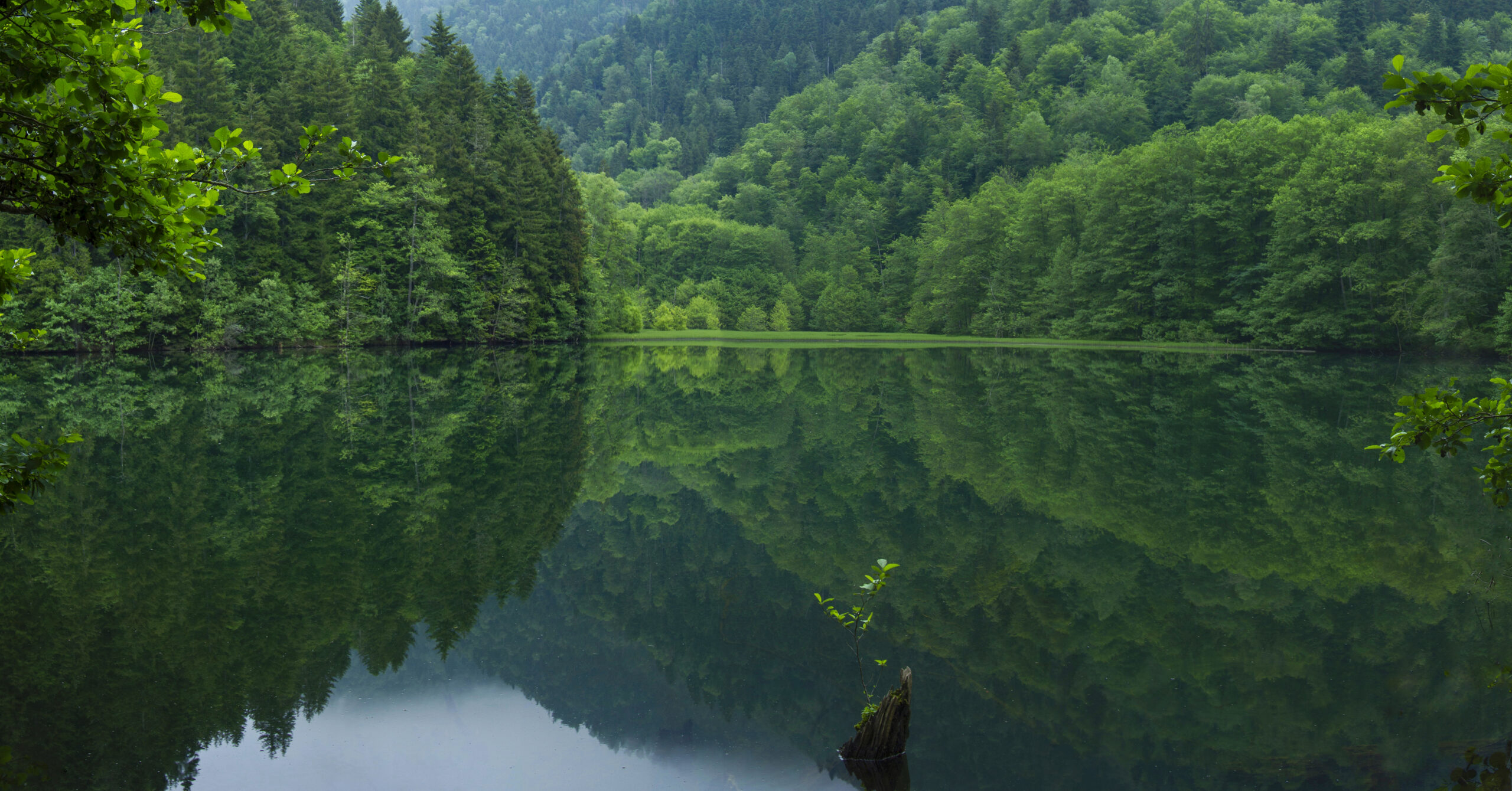GREEN Caucasus – Enhancing Green Rural Economy and Energy in Georgia